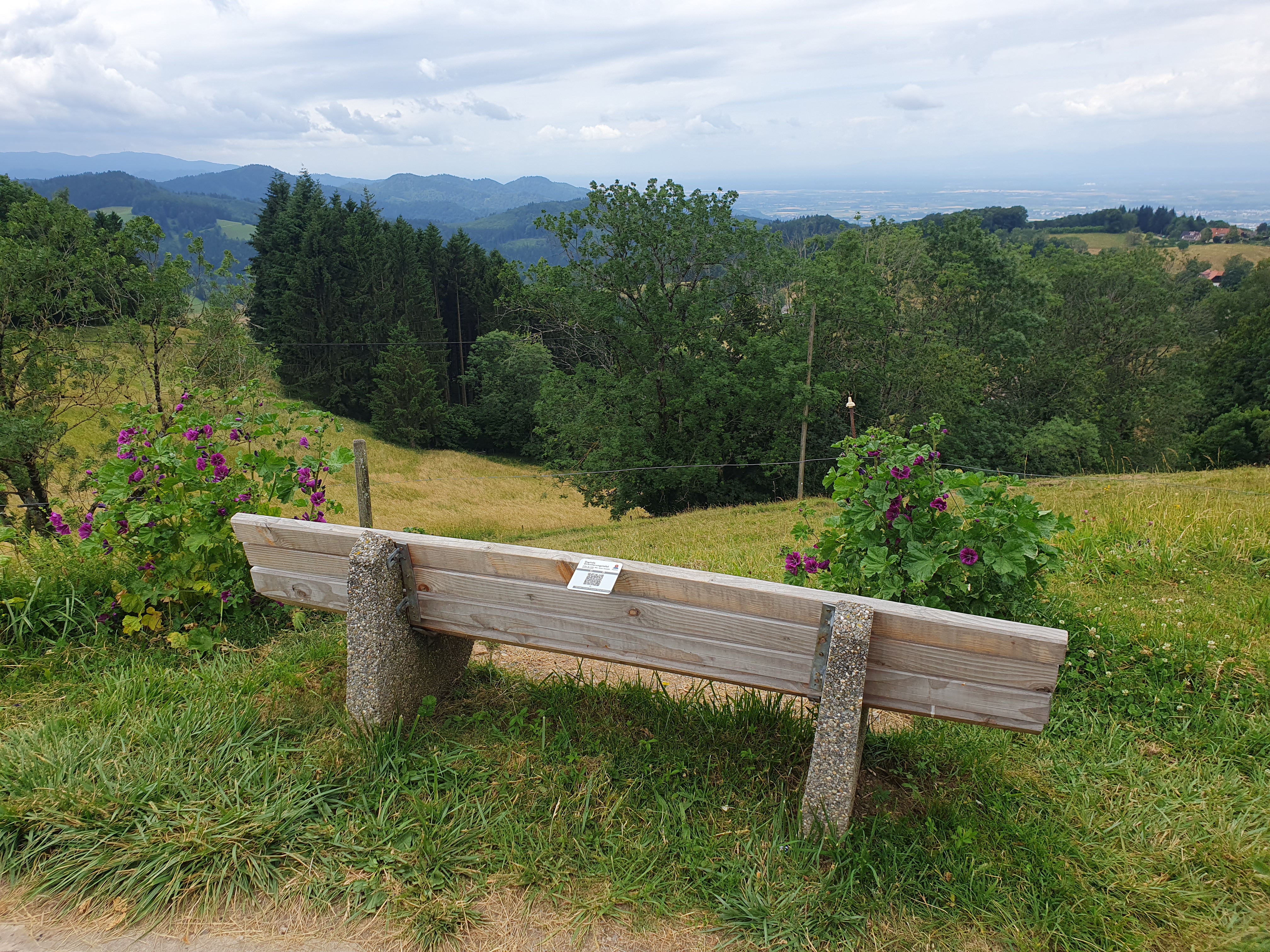 Mountain landscape with QR plaque