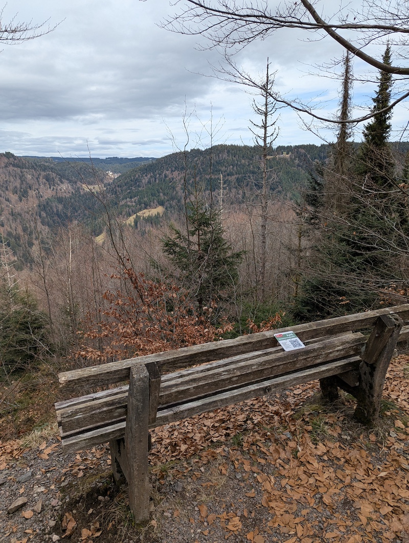 Blick nach Gütenbach – Fernsicht